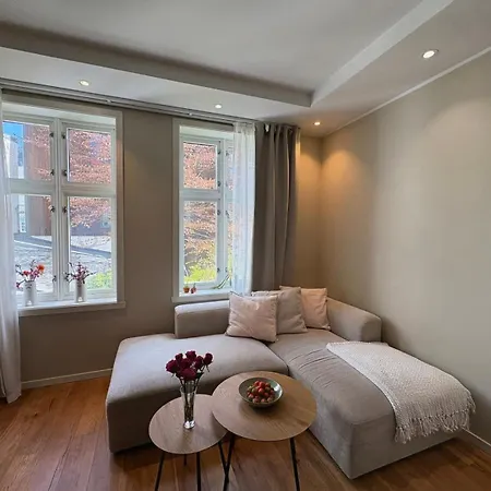 Super And Cozy In Daire Bergen