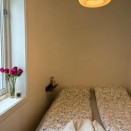 Super And Cozy In 公寓 卑爾根